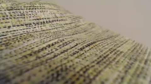 Snapshot of mesmerize88 chatting on February 2025 08:52:02 PM Mauro online show from February 2025 08:52:02 PM