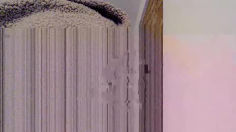 Snapshot of mesmerize88 chatting on February 2025 10:52:02 PM Mauro online show from February 2025 10:52:02 PM