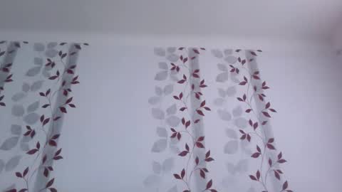 Snapshot of metallbuddy chatting on October 2025 01:42:01 PM ask me online show from October 2025 01:42:01 PM