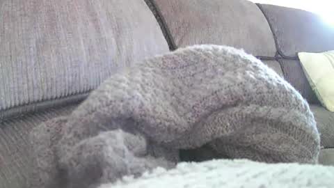 mexianthehawk online show from April 2026 02:04:01 AM