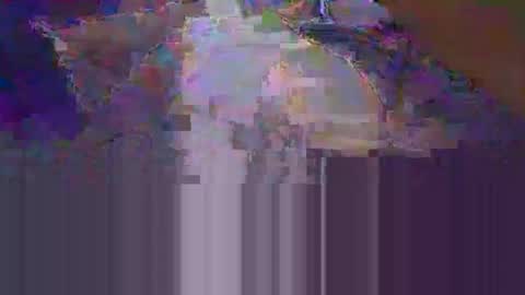 Snapshot of mi_profe_y_rambo chatting on January 2025 03:33:02 AM Profe mambo online show from January 2025 03:33:02 AM