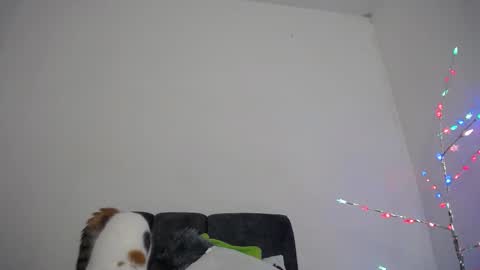 M I A online show from December 2025 10:32:01 AM