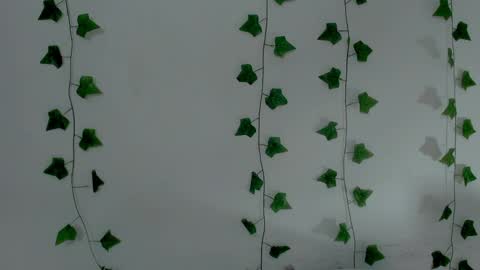 MIA online show from April 2026 10:25:02 PM