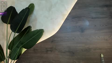 Snapshot of mia_lacy chatting on January 2025 01:55:01 AM mia_lacy online show from January 2025 01:55:01 AM