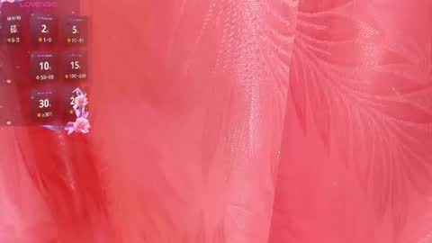 mia_nova5 online show from July 2026 11:49:02 AM