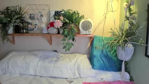 Miaa online show from December 2024 07:12:01 AM