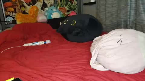 Snapshot of miaelizabethlove chatting on January 2025 11:11:01 AM Mia Love online show from January 2025 11:11:01 AM