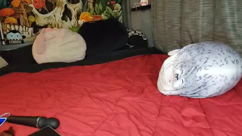 Snapshot of miaelizabethlove chatting on February 2025 06:12:01 AM Mia Love online show from February 2025 06:12:01 AM