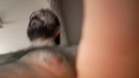 Snapshot of michael666c chatting on February 2025 09:00:02 AM michael666c online show from February 2025 09:00:02 AM