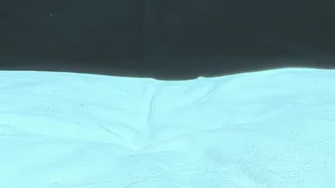 Michelle daniels online show from December 2024 08:36:01 PM