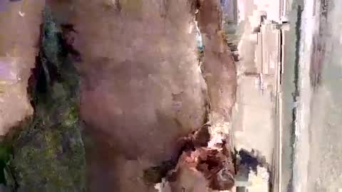 mickavis1975 online show from April 2026 09:42:01 PM