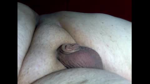 micropimmel online show from December 2024 04:06:01 PM