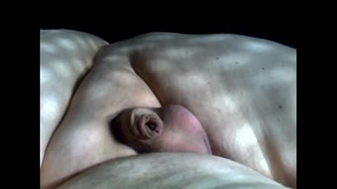 micropimmel online show from September 2025 03:23:01 PM