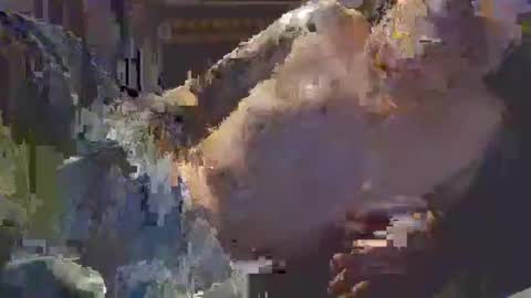 middle123456783939 online show from September 2025 06:52:01 PM