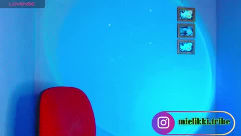 Snapshot of mielikki01 chatting on December 2024 06:41:02 AM mielikki01 online show from December 2024 06:41:02 AM