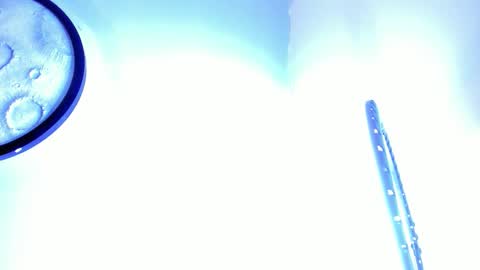 Mike  online show from February 2026 11:31:01 AM