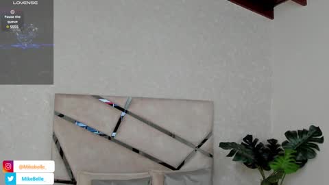 Snapshot of mike_belle chatting on January 2025 08:22:01 PM Mike Belle online show from January 2025 08:22:01 PM