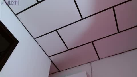 mike_d1030 online show from February 2025 03:33:01 AM