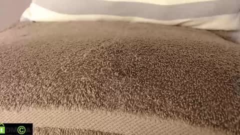 Mikell Williams online show from March 2025 08:53:01 PM