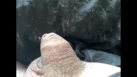 Snapshot of mikke332 chatting on February 2025 11:57:02 AM mikke332 online show from February 2025 11:57:02 AM