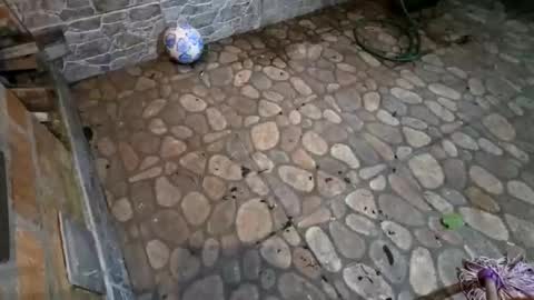 miky17cm online show from January 2026 05:01:01 AM