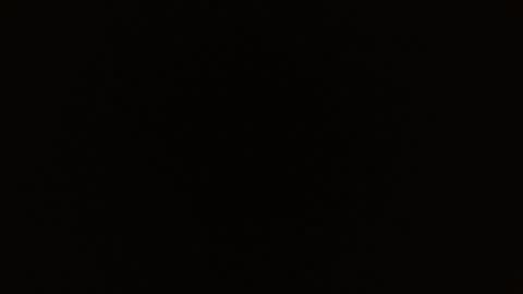 Rosalie  online show from March 2026 11:01:02 AM