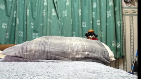 Snapshot of milfy72 chatting on January 2025 10:41:01 PM milfy72 online show from January 2025 10:41:01 PM