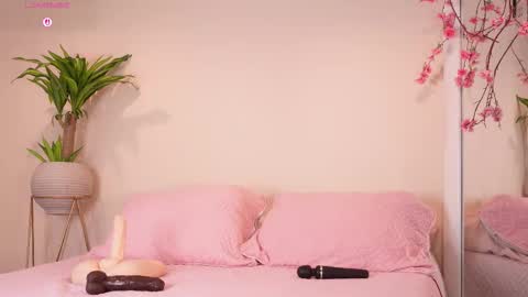    online show from October 2025 12:15:01 PM