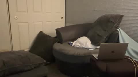 Snapshot of millerjdm chatting on December 2024 05:35:02 PM SlimnHungOH online show from December 2024 05:35:02 PM