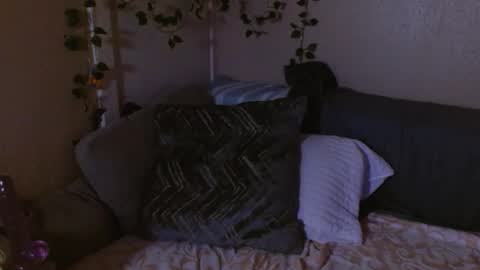 Mindy online show from February 2026 10:33:01 AM