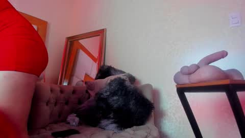 Snapshot of mirandasould chatting on December 2025 01:38:01 PM Miranda online show from December 2025 01:38:01 PM