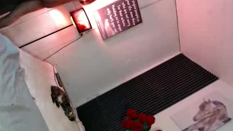 miss_bella69 online show from November 2025 12:10:01 AM