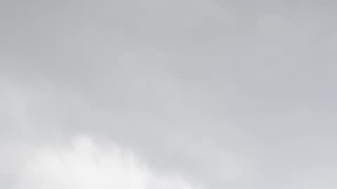 miss_divora online show from February 2026 07:51:02 PM