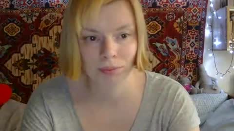 Elis online show from July 2026 11:13:02 AM