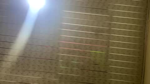 Snapshot of miss_ly_ chatting on February 2025 11:44:02 AM ly independent model online show from February 2025 11:44:02 AM