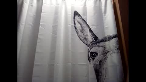 MissEeva online show from December 2024 06:23:02 PM