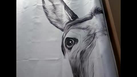 MissEeva online show from February 2025 09:41:02 PM