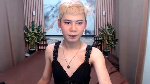 Snapshot of misstransstella69 chatting on August 2026 05:54:02 AM Stella online show from August 2026 05:54:02 AM