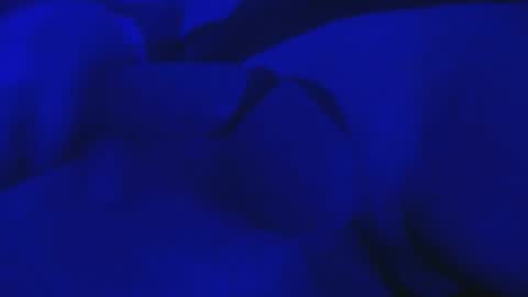 Snapshot of misterfixxit chatting on October 2025 06:00:01 AM Mike Cho online show from October 2025 06:00:01 AM