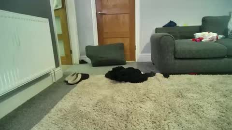 misterycouple12 online show from December 2024 04:04:02 AM