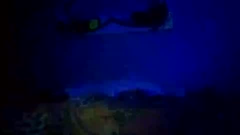 Daddy720 online show from October 2025 11:05:01 PM