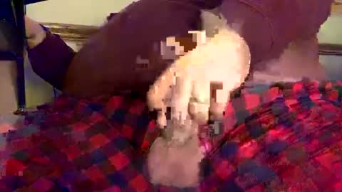 Snapshot of mnguy19726969 chatting on December 2024 06:25:01 PM mnguy19726969 online show from December 2024 06:25:01 PM