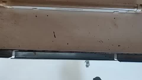 Snapshot of modelo_web18 chatting on September 2025 12:08:02 PM camilo online show from September 2025 12:08:02 PM