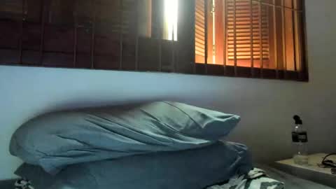 DigBreed online show from January 2025 10:11:02 PM