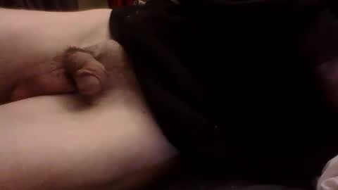 Pnisxxl online show from December 2024 10:28:01 AM