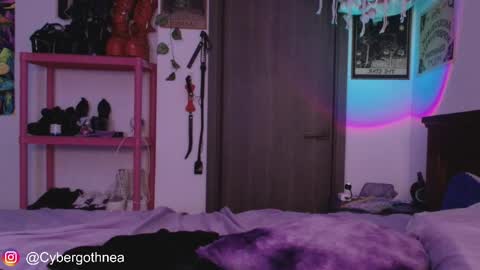 mollycrystalll online show from April 2026 07:59:02 AM