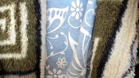 Snapshot of mollystory chatting on February 2025 03:59:01 PM AngelMomm online show from February 2025 03:59:01 PM