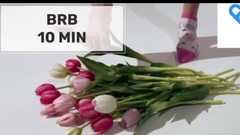 Mommy online show from October 2025 02:04:02 AM