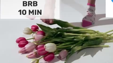 Mommy online show from June 2026 01:50:02 AM