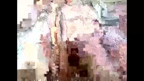 Snapshot of mommyissues2386 chatting on September 2025 09:53:01 PM Richard Sheridan online show from September 2025 09:53:01 PM